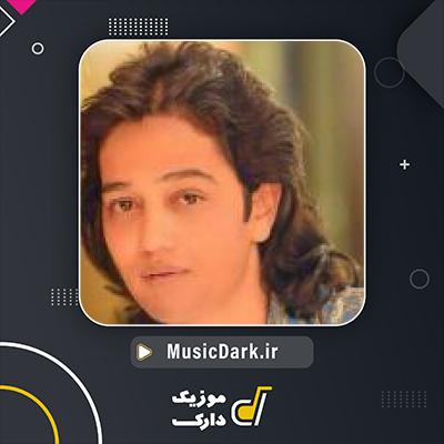 دانلود آهنگ مرغ آمین از امین بانی