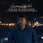 دانلود آهنگ سجاد باغنده به نام نه بهلی بمیرم